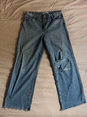 HIDDEN [Logan] Medium Wash Mid-Rise Dad Jeans